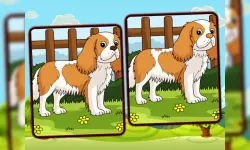 Dogs Spot The Differences image