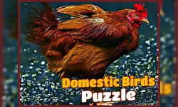 Domestic Birds Puzzle image