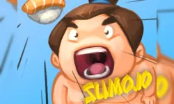 FZ Sumo Battle image
