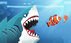 Angry Sharks image