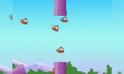 Crushy Birds image