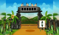 Rocky Village Escape image
