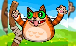 Angry Cat Shot image