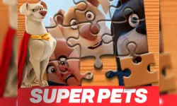 DC League of Super Pets Jigsaw Puzzle image