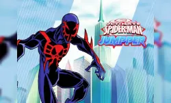 Spiderman Jumpper image