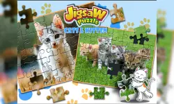 Jigsaw Puzzle Cats & Kitten image