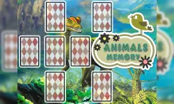 Animals Cards Memory image