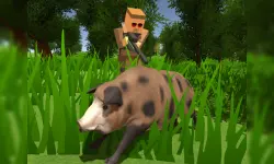 Pixel Hunting.IO image