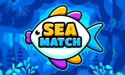 image bg Sea Match