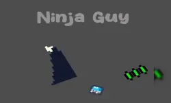 Ninja Guy image