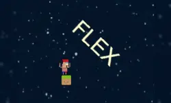 HardFlex: The Last Flex image