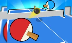 Ping Pong Table Tennis image