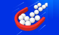 Ball Picker 3D image