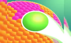 Painting Balls image