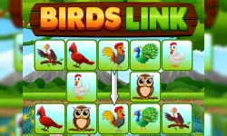 Birds Link image