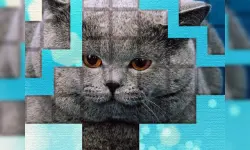 PicPu - Cat Puzzle image