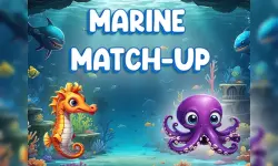 Marine Match Up image