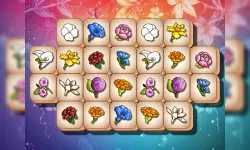 image bg Blossom Link