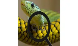 Wildlife Animal Trivia:Test Your Knowledge! image