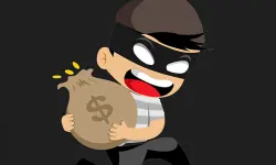 Smart Looter 3D image
