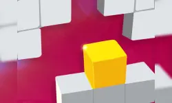 Adjust in the wall image