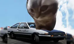 Car Stunt Chipi Chipi Chapa Chapa Cat image