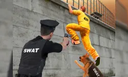Prison Survive Break Escape image
