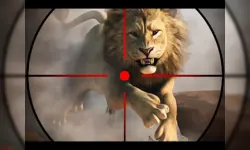 wild life hunting image
