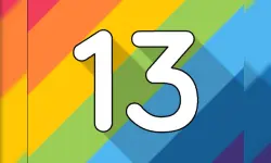 13 The game image