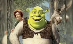 Shrek Kingdom Match 3 image