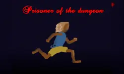 Prisoner of the dungeon image