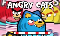 Angry Cats image