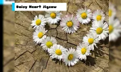 Daisy Heart Jigsaw image
