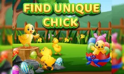 Find Unique Chick image