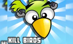 Kill Birds image