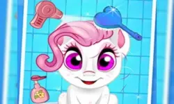 Pet Wash image