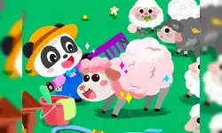 Baby Panda Animal Farm image