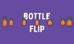 BottleFlip image
