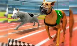 Dogs3D Races image