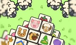 Sheep Match image