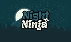 Night Ninja image