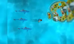 Survive the Sharks image