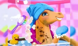Fairy Pony Caring Adventure image