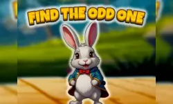 Find The Odd One image