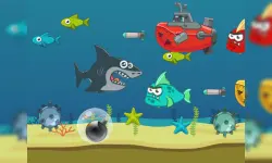 Crazy Shark image