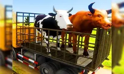 Animal Transport Truck Driving Game 3D image