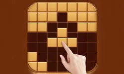 Wood Block Puzzle Games image