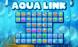Aqua Link image