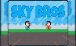 Sky Bros image