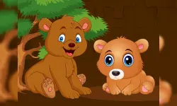 Baby Bear Jigsaw image